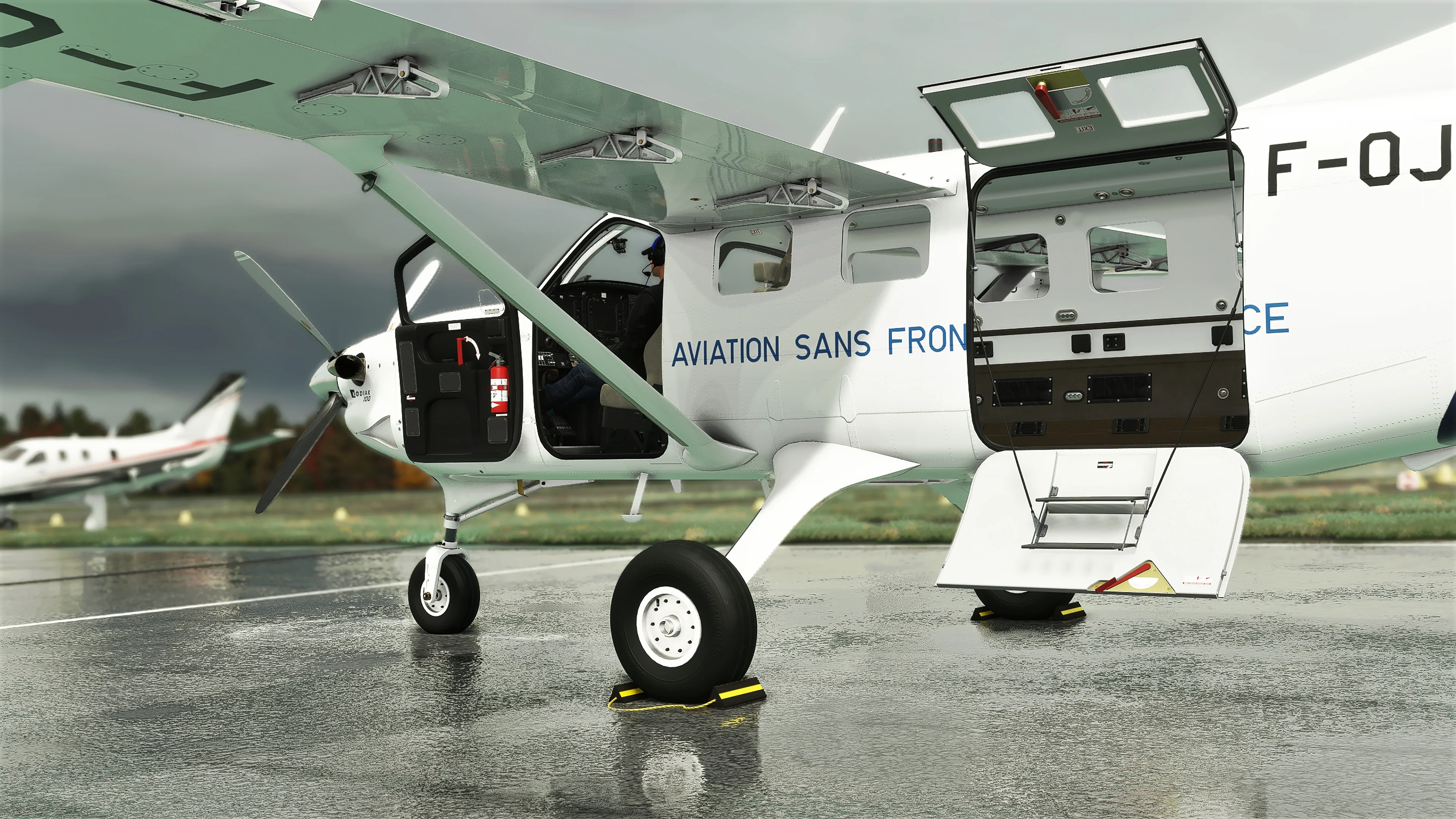 Kodiak 100 Bundle MSFS - Image 33