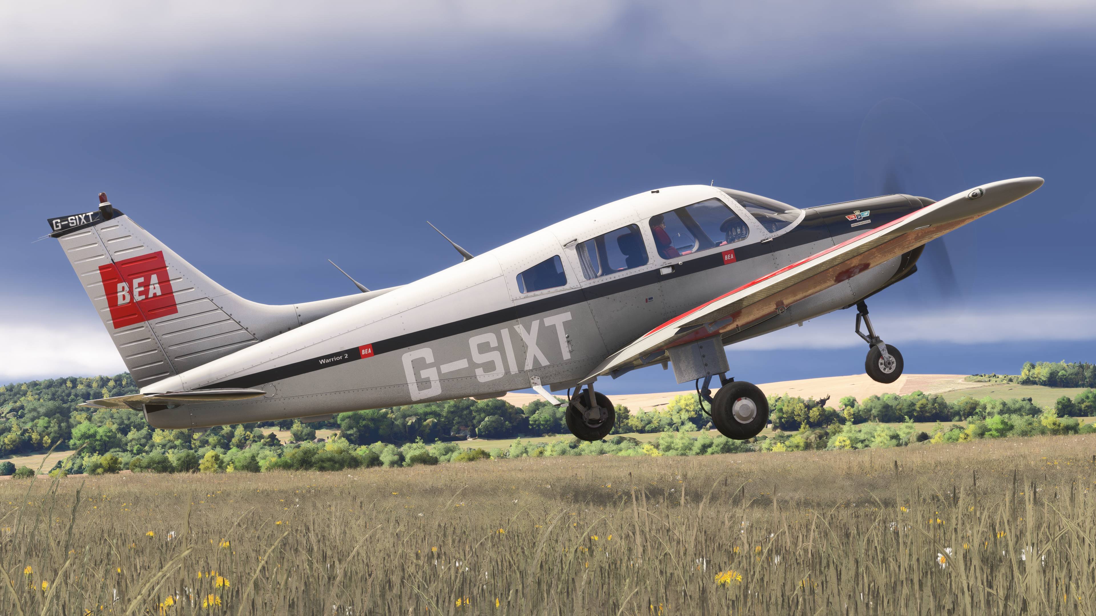 PA-28-161 Warrior II MSFS - Image 4