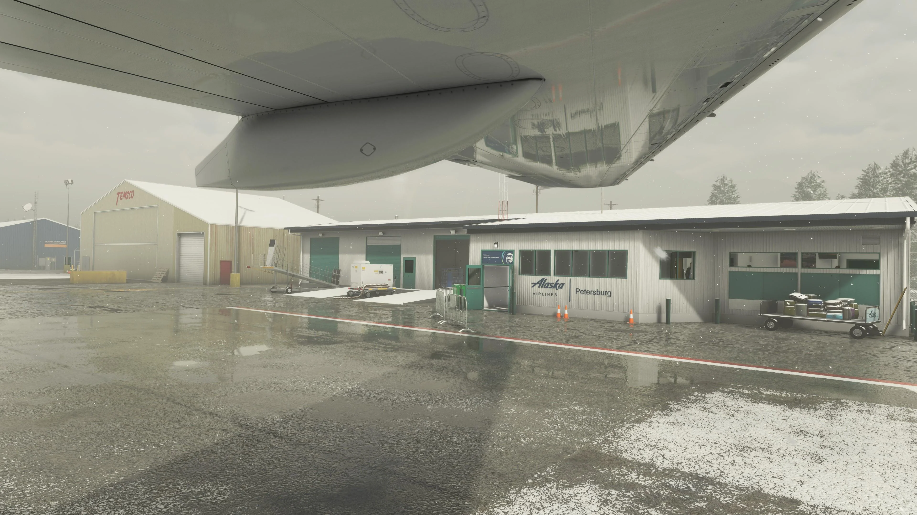 PAPG - Petersburg Airport MSFS - Image 10