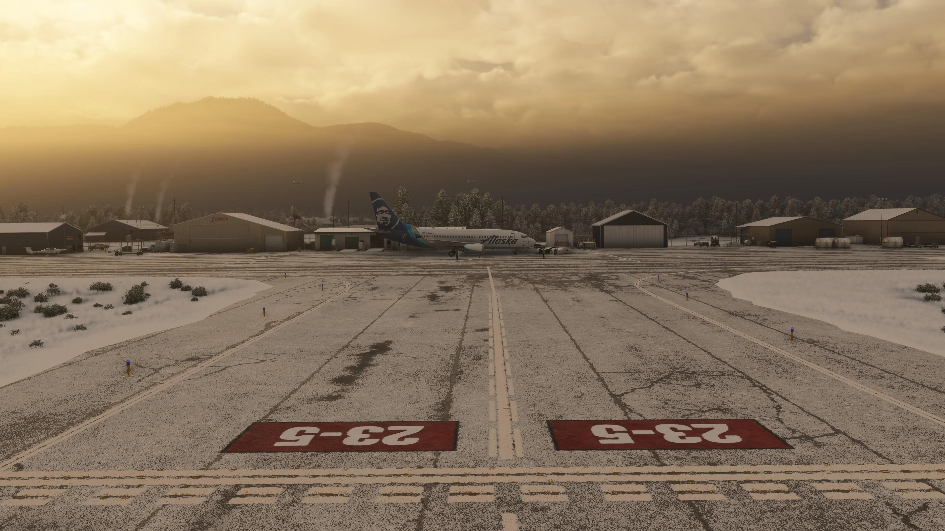 PAPG - Petersburg Airport MSFS - Image 4