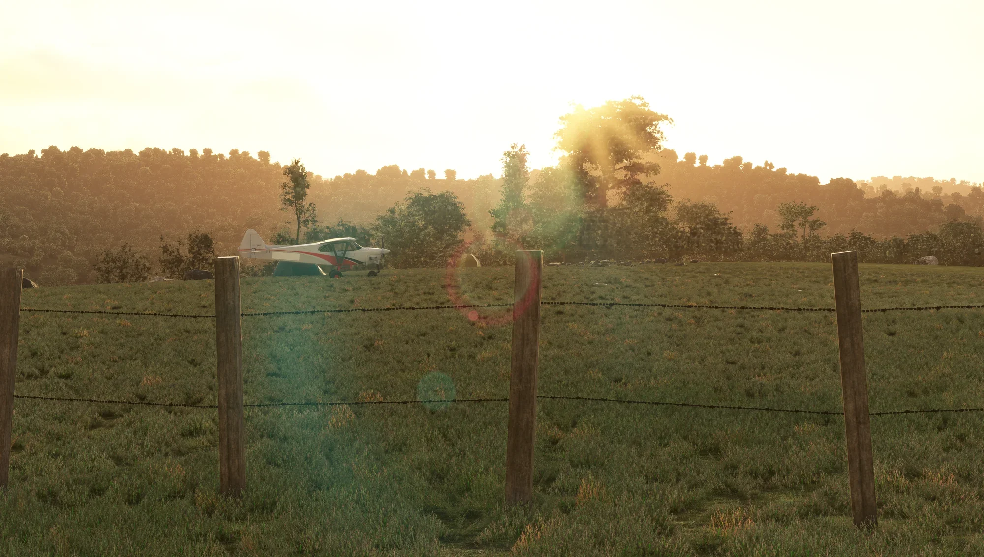 Bush Plane Campout MSFS - Image 14