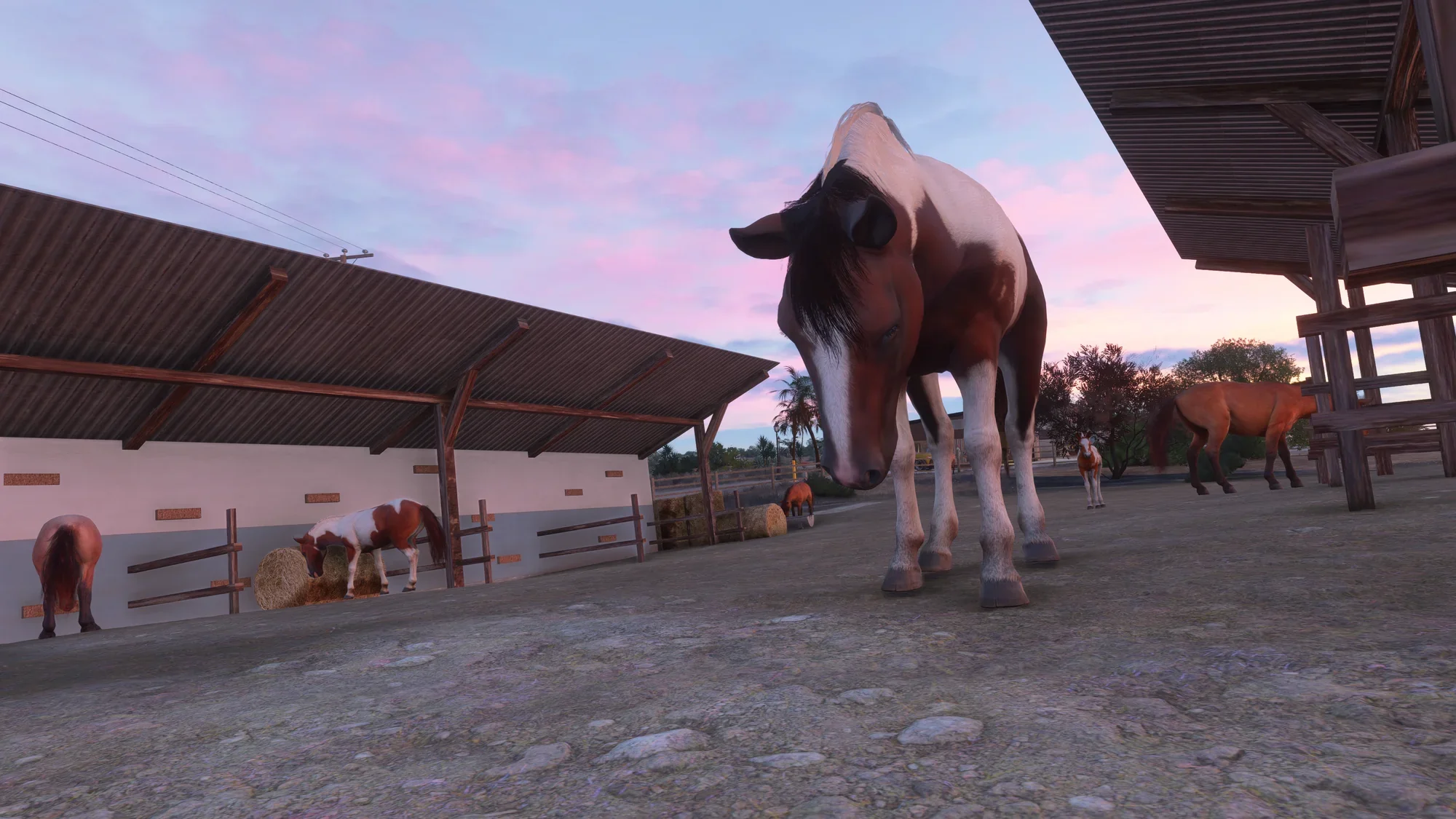 Hogsback Ranch FS24 - Image 26