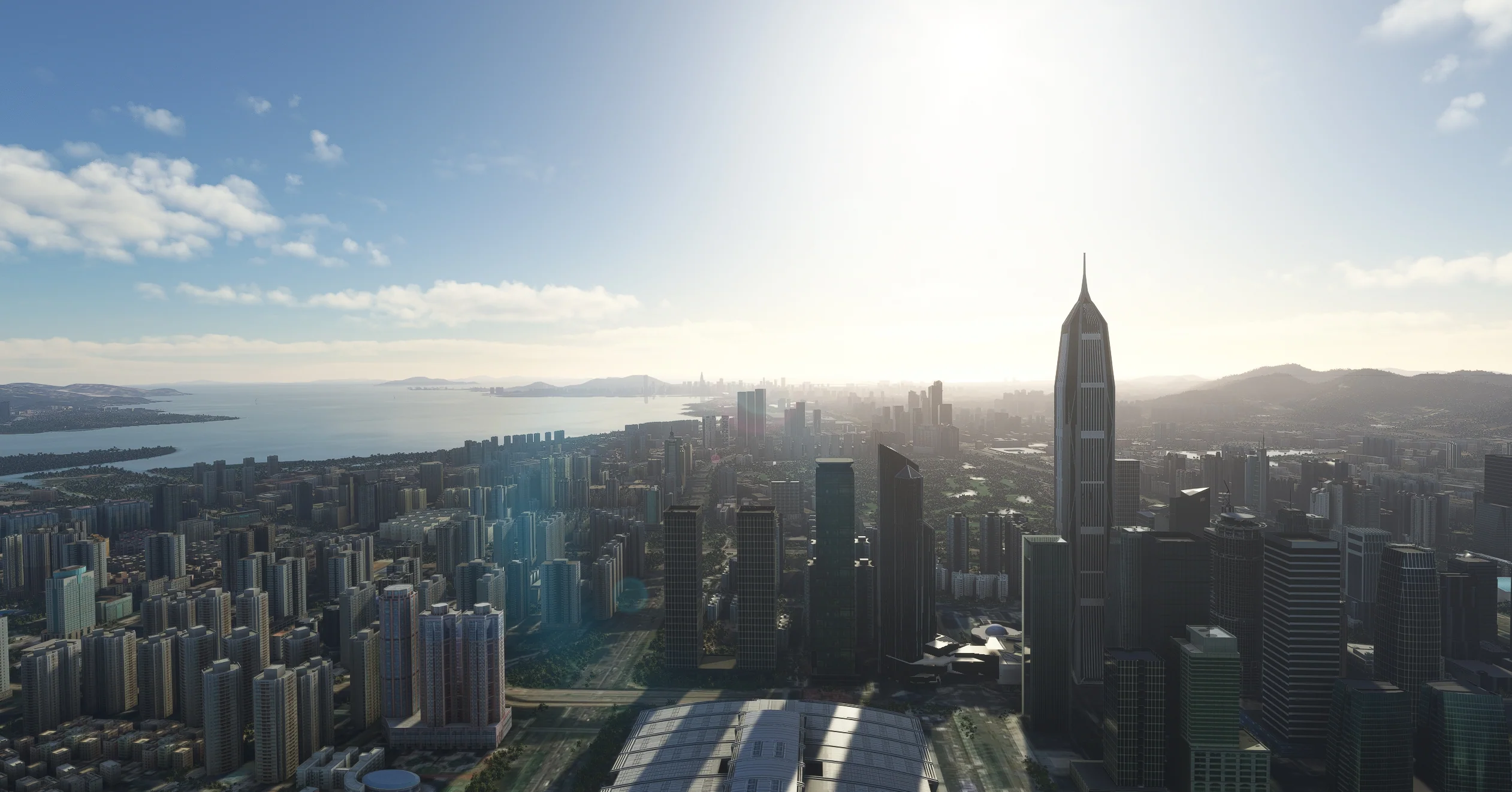 Shenzhen China MSFS - Image 6