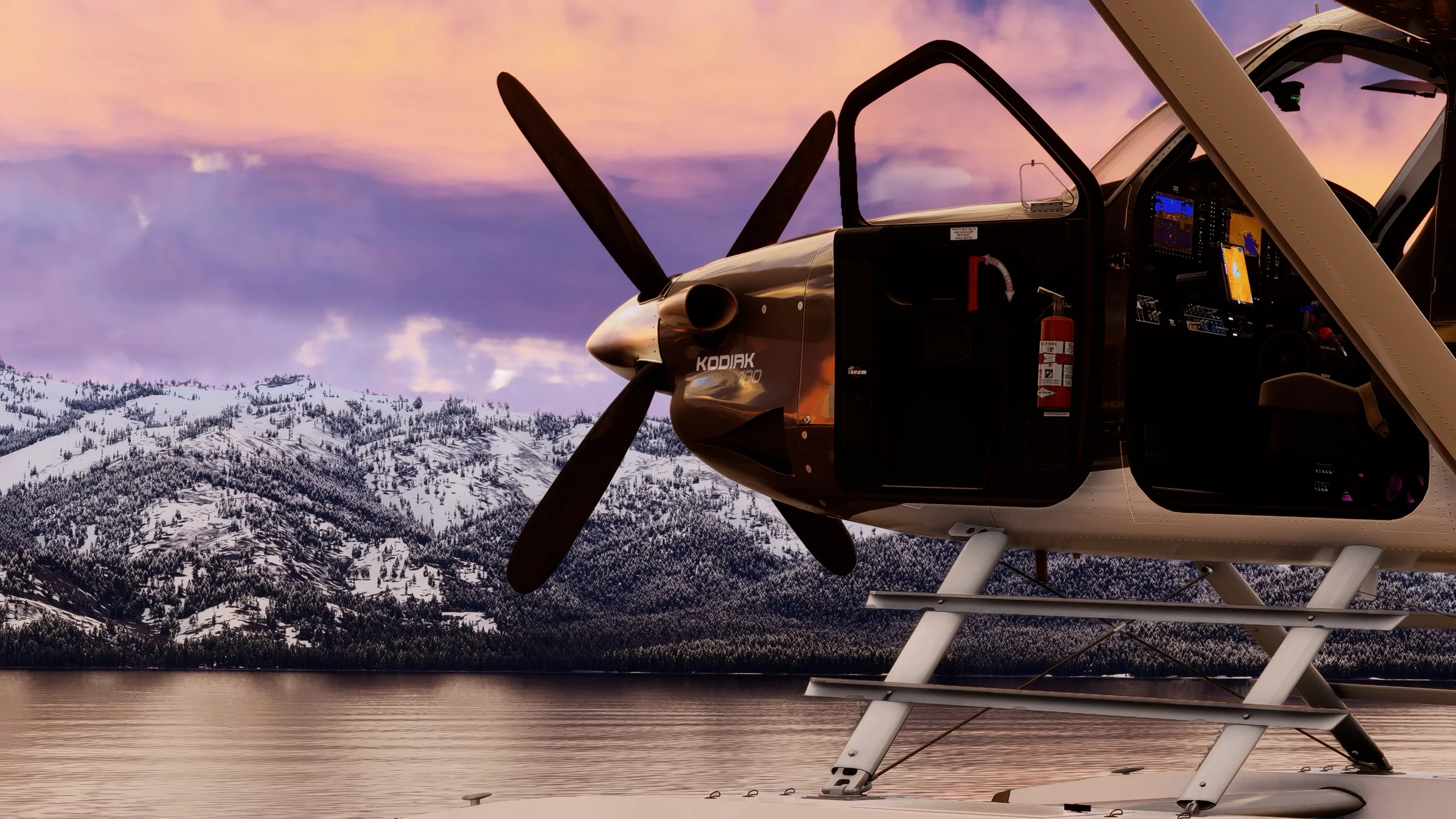 Kodiak 100 MSFS24 - Image 10