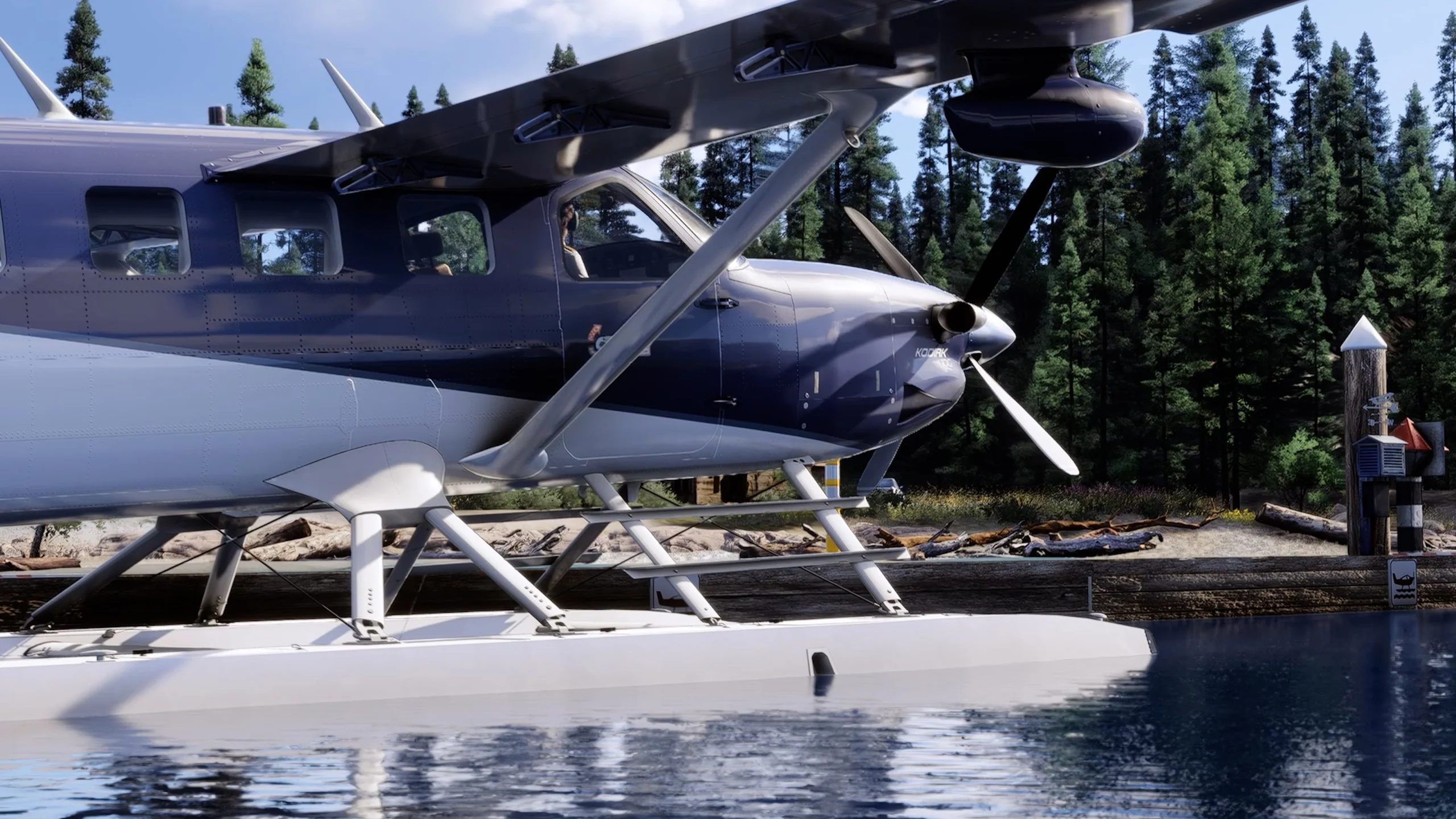 Kodiak 100 MSFS24 - Image 17