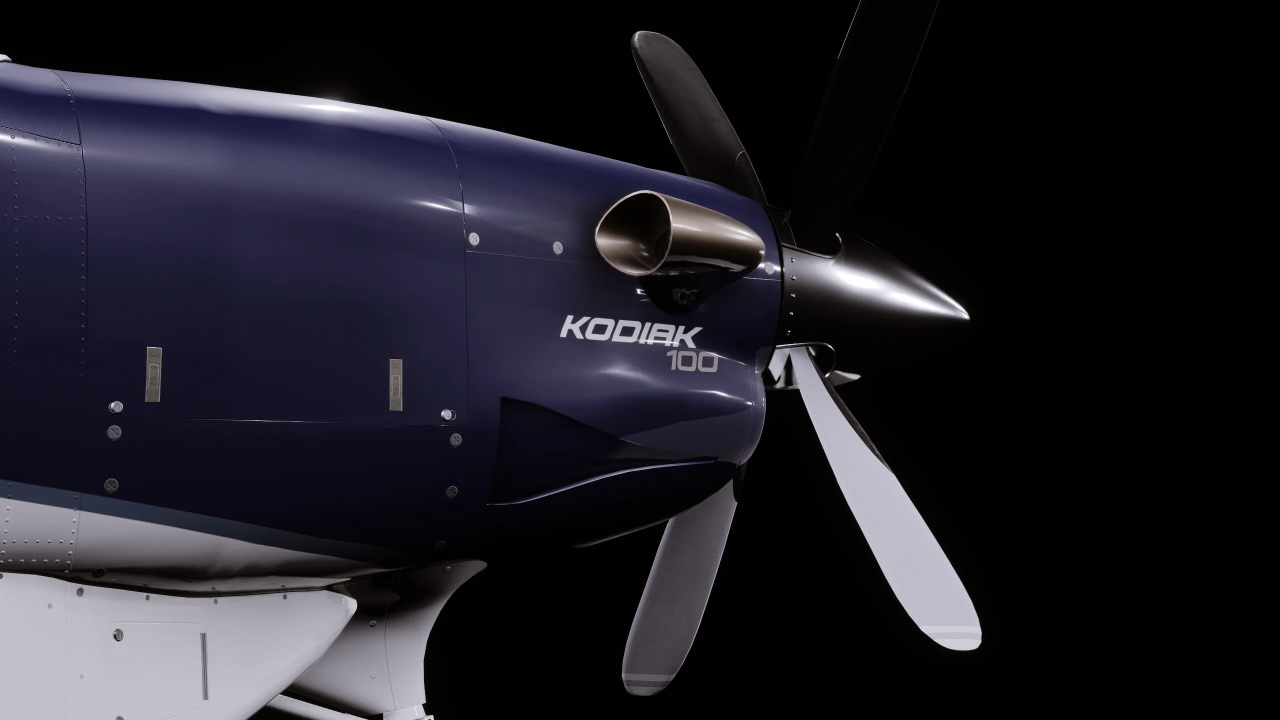 Kodiak 100 MSFS24 - Image 3