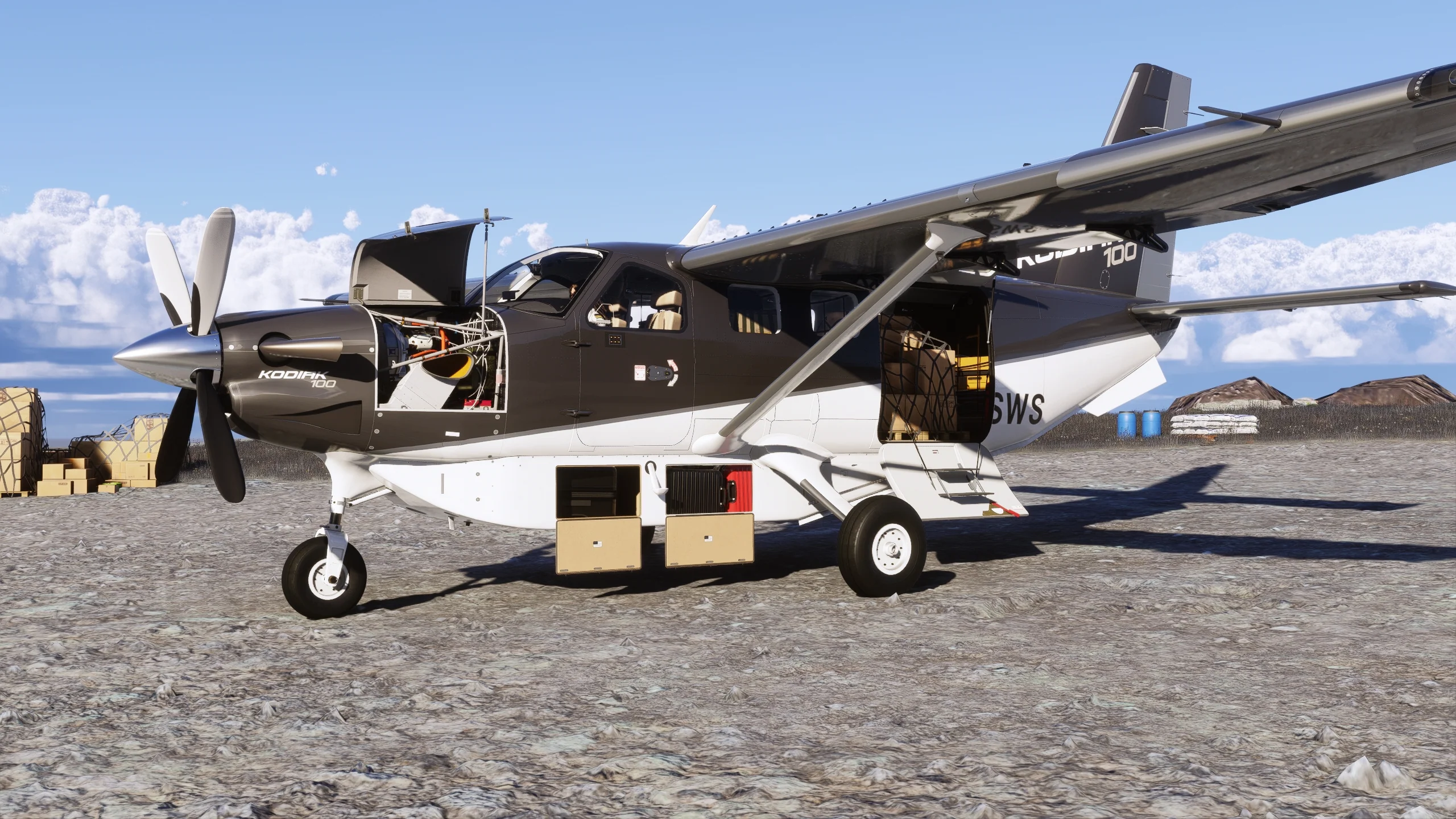Kodiak 100 MSFS24 - Image 5