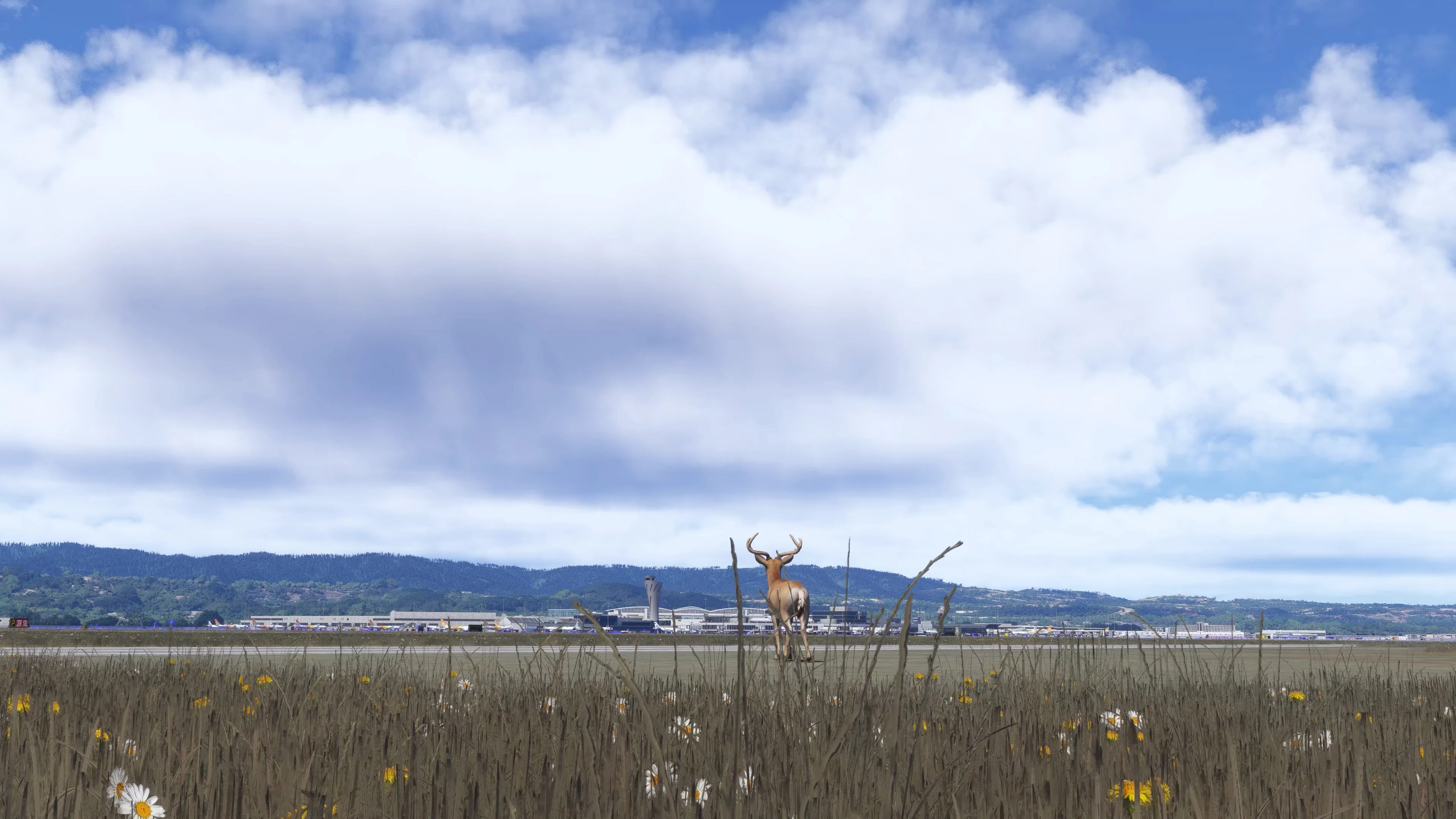 Weather Preset Pro v2 MSFS20/24 - Image 53