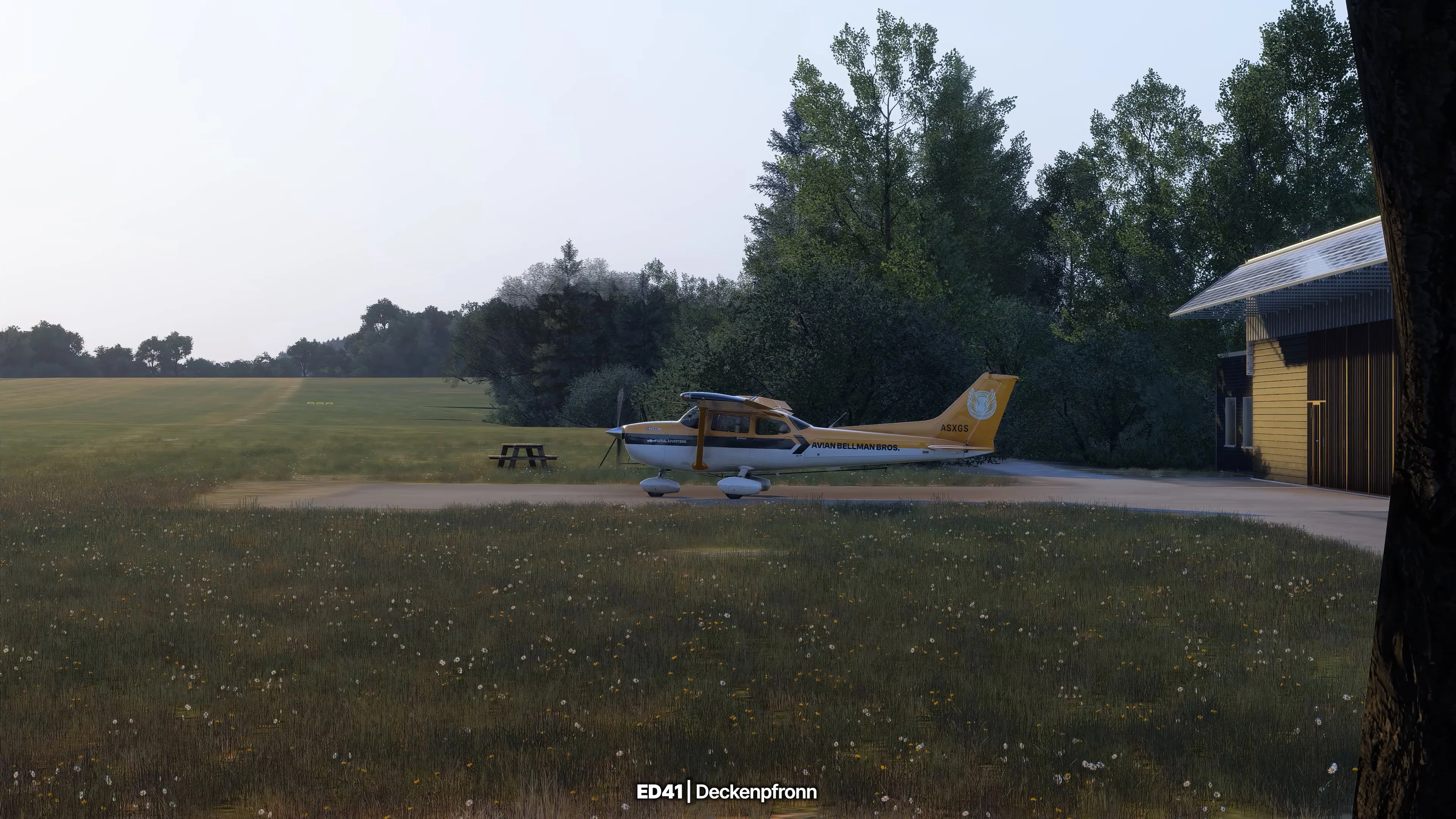 Stuttgart Airfields MSFS24 - Image 49