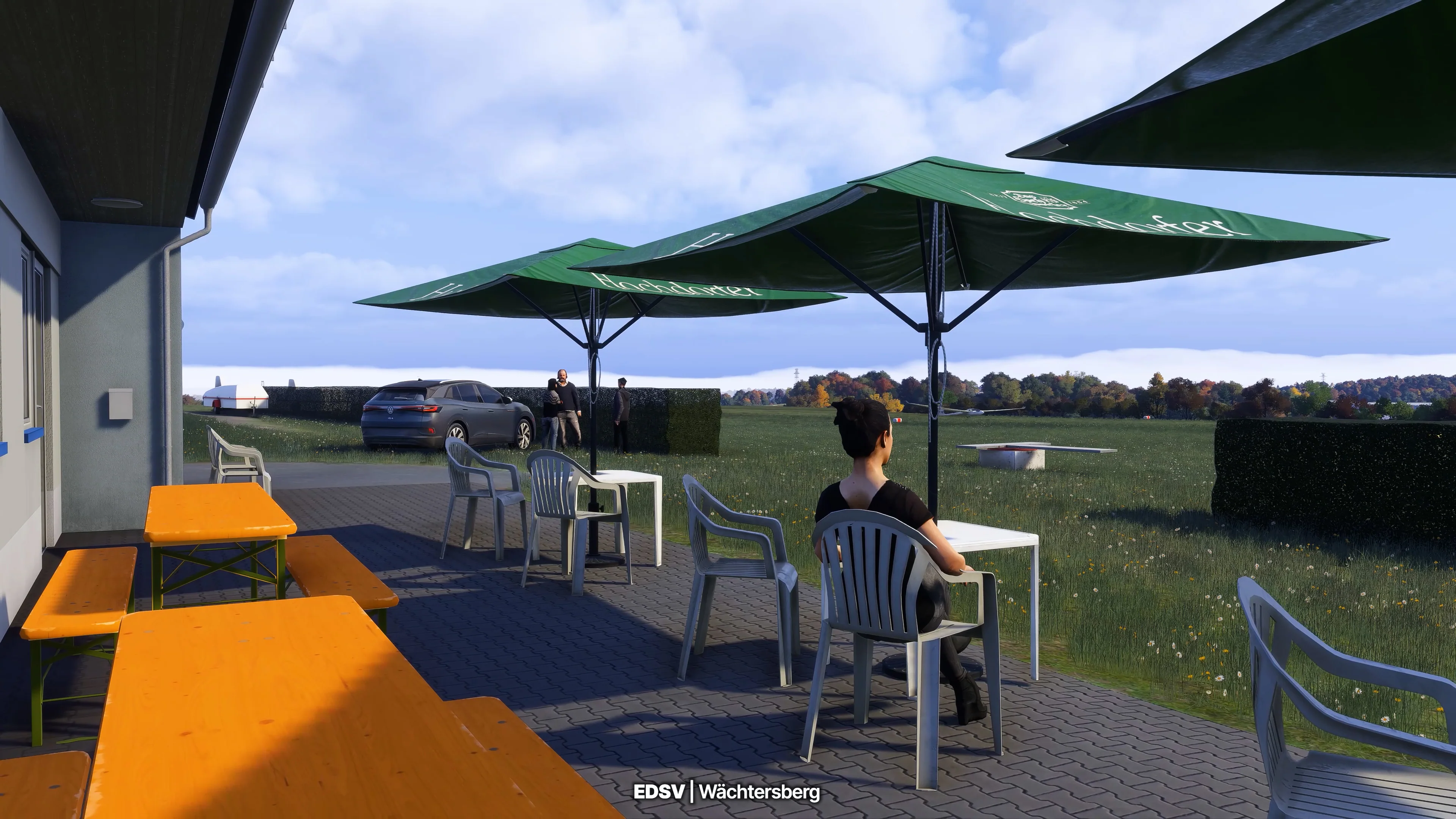 Stuttgart Airfields MSFS24 - Image 56