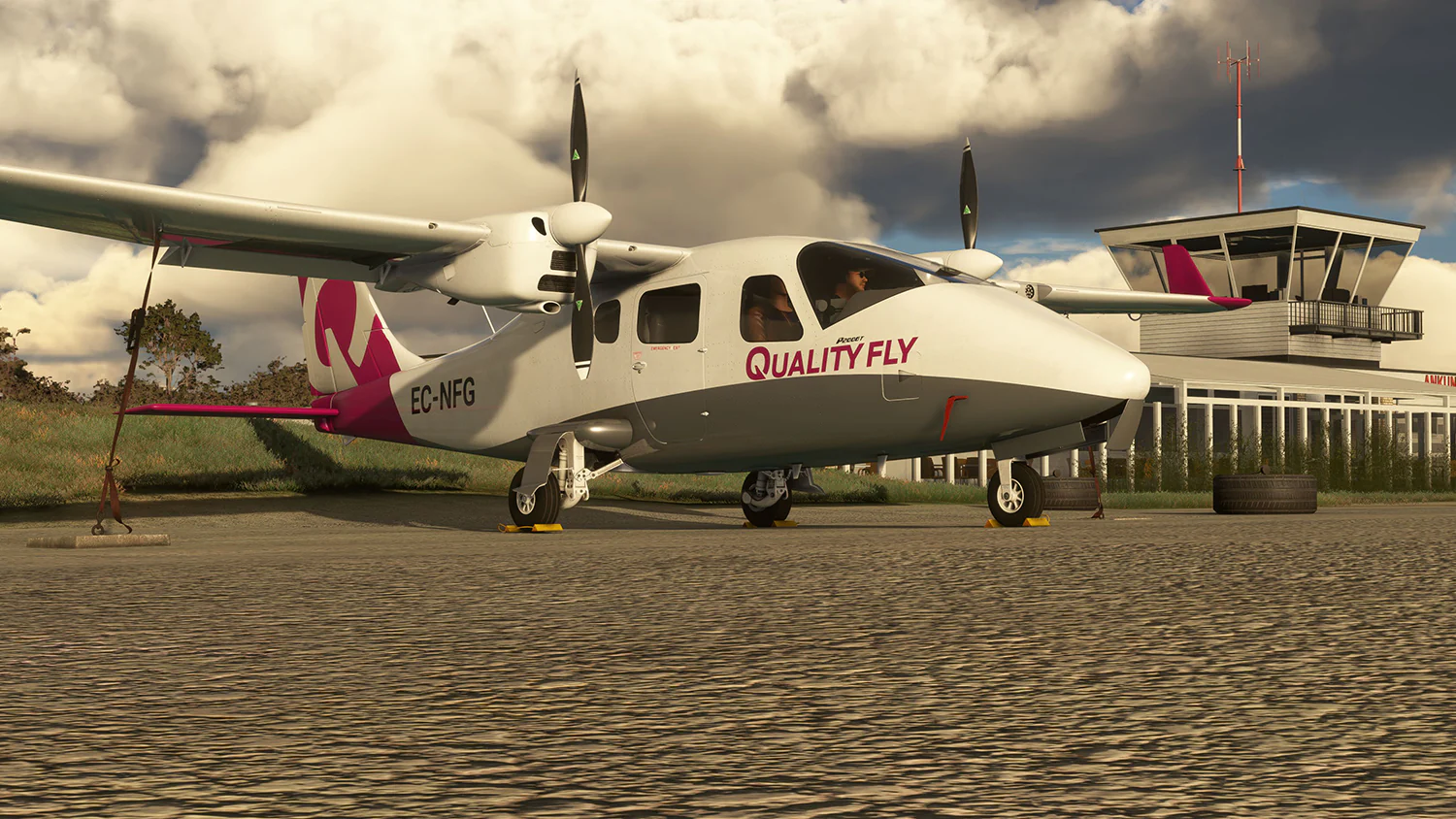 Tecnam P2006T Analog MSFS - Image 10