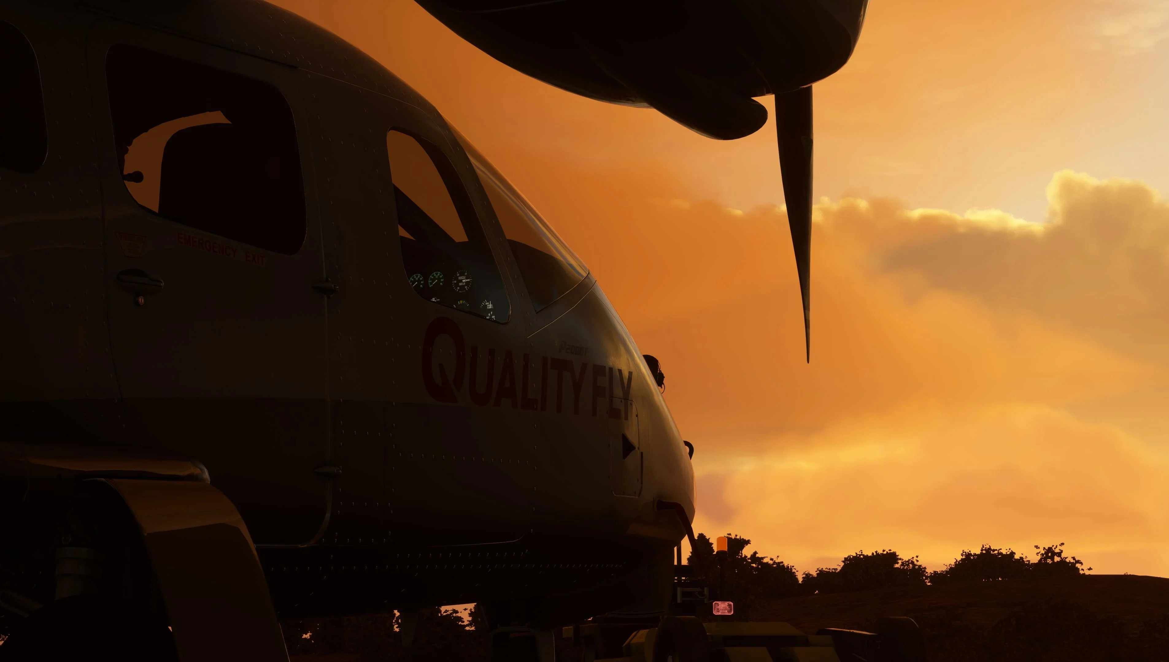 Tecnam P2006T Analog MSFS - Image 4